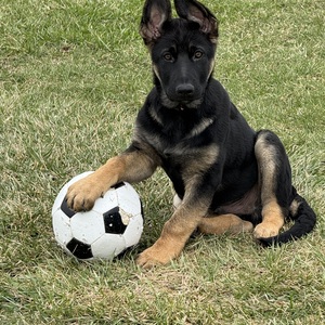 Fundraising Page: Lori Pryor